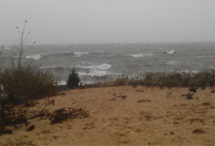IMAG0276